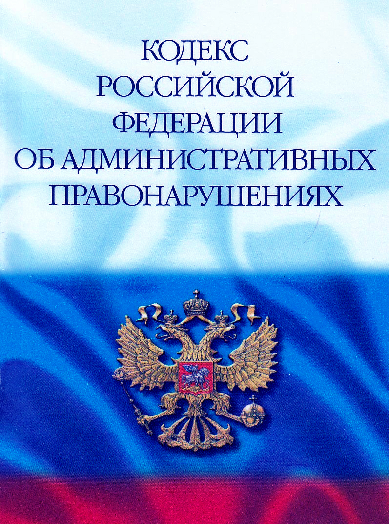 Гражданский процессуальный кодекс Российской Федерации книга